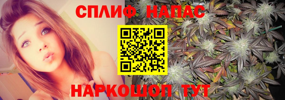Марихуана сатива  Бошки Шишки планчик  Вход с VPN  Янаул  Бошки Шишки ГИДРОПОН  Шишки марихуана ГИДРОПОН 